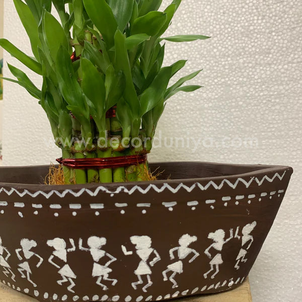 Boat with Bamboo Plant - B1