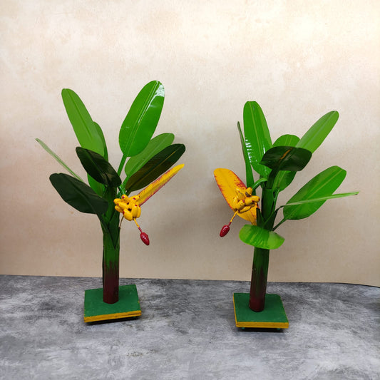 Plantain Tree, Banana Tree - Pair - BT01