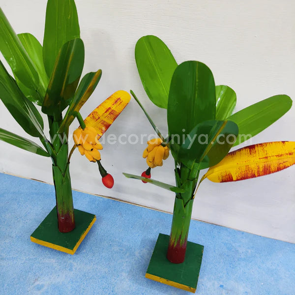 Plantain Tree, Banana Tree - Pair - BT02