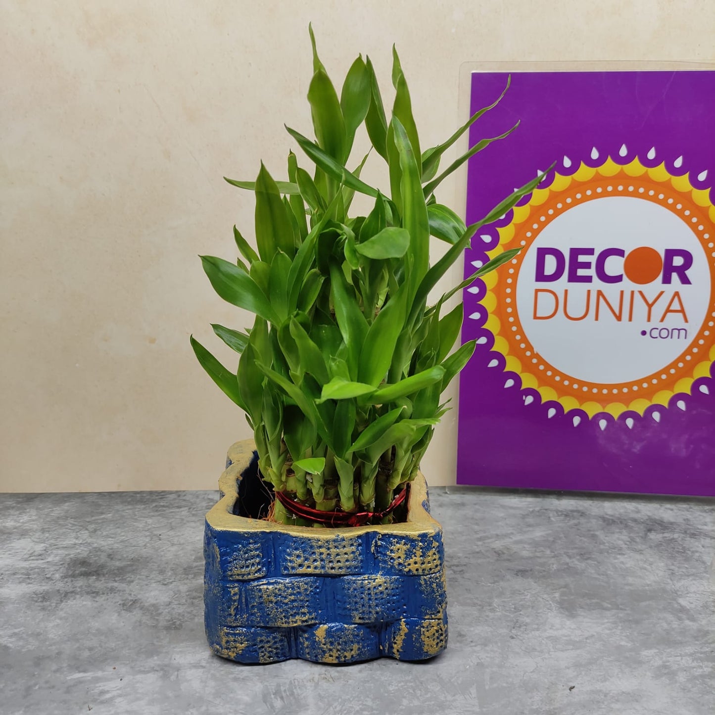 Terracotta Planter with 3 layer Bamboo- TPB2