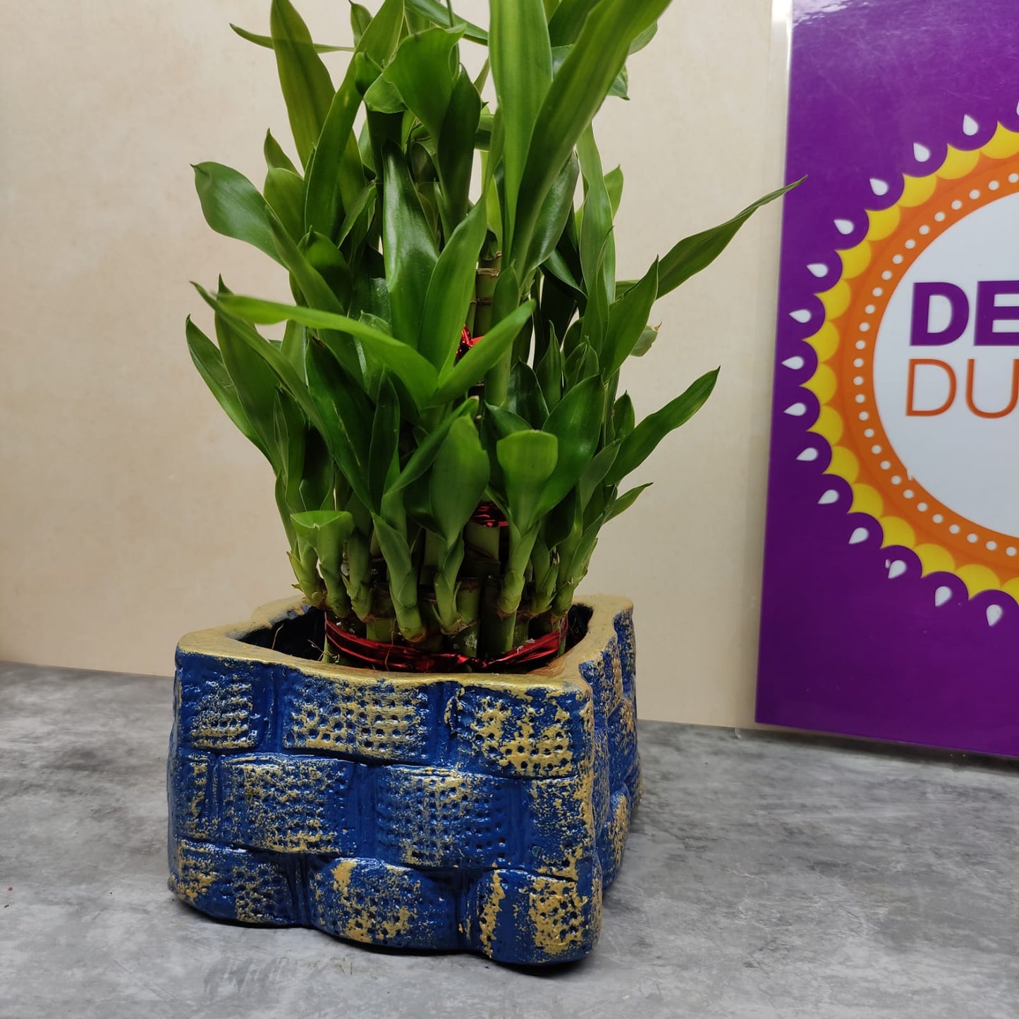 Terracotta Planter with 3 layer Bamboo- TPB2