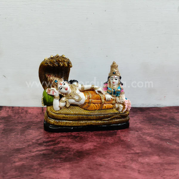 Vishnu Lakshmi - CN11