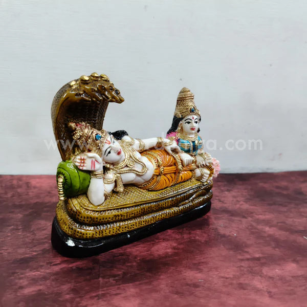 Vishnu Lakshmi - CN11