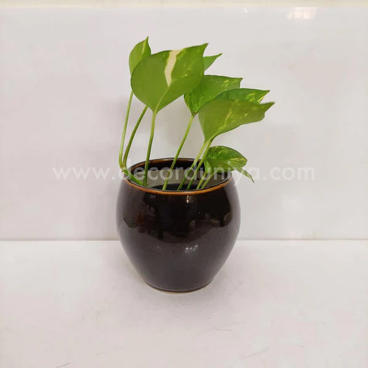 Ceramic Planter - CP1