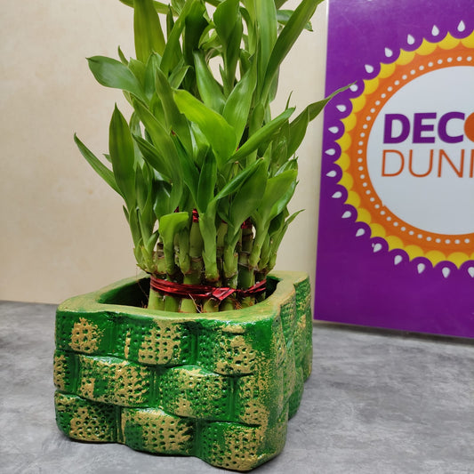 Terracotta Planter with 3 layer Bamboo- TPB3