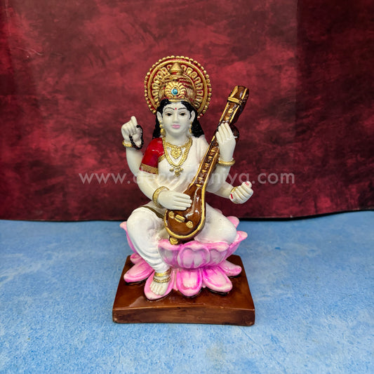 Saraswathi - DSP29-PR