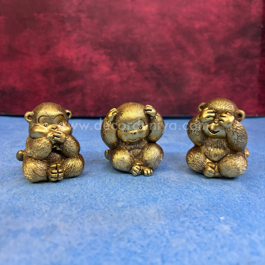 Monkey Set - BKI11-PR