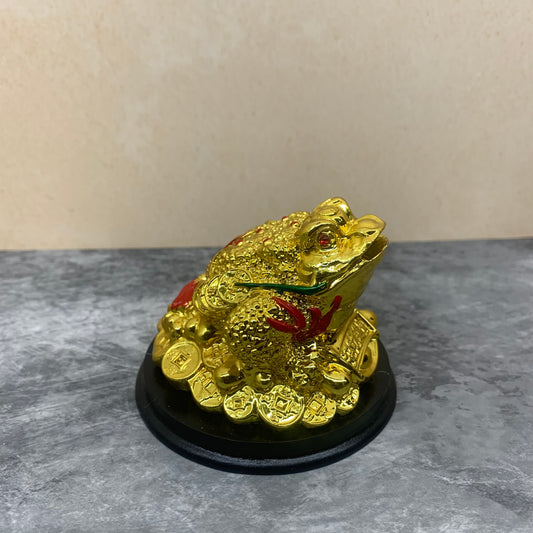 Gold Frog - GF01