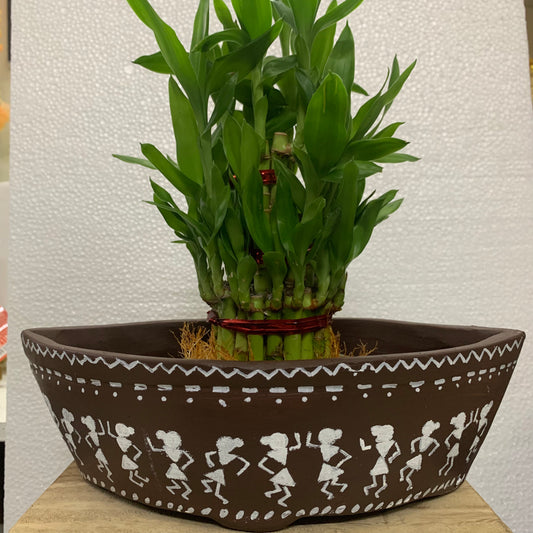 Boat with Bamboo Plant - B1
