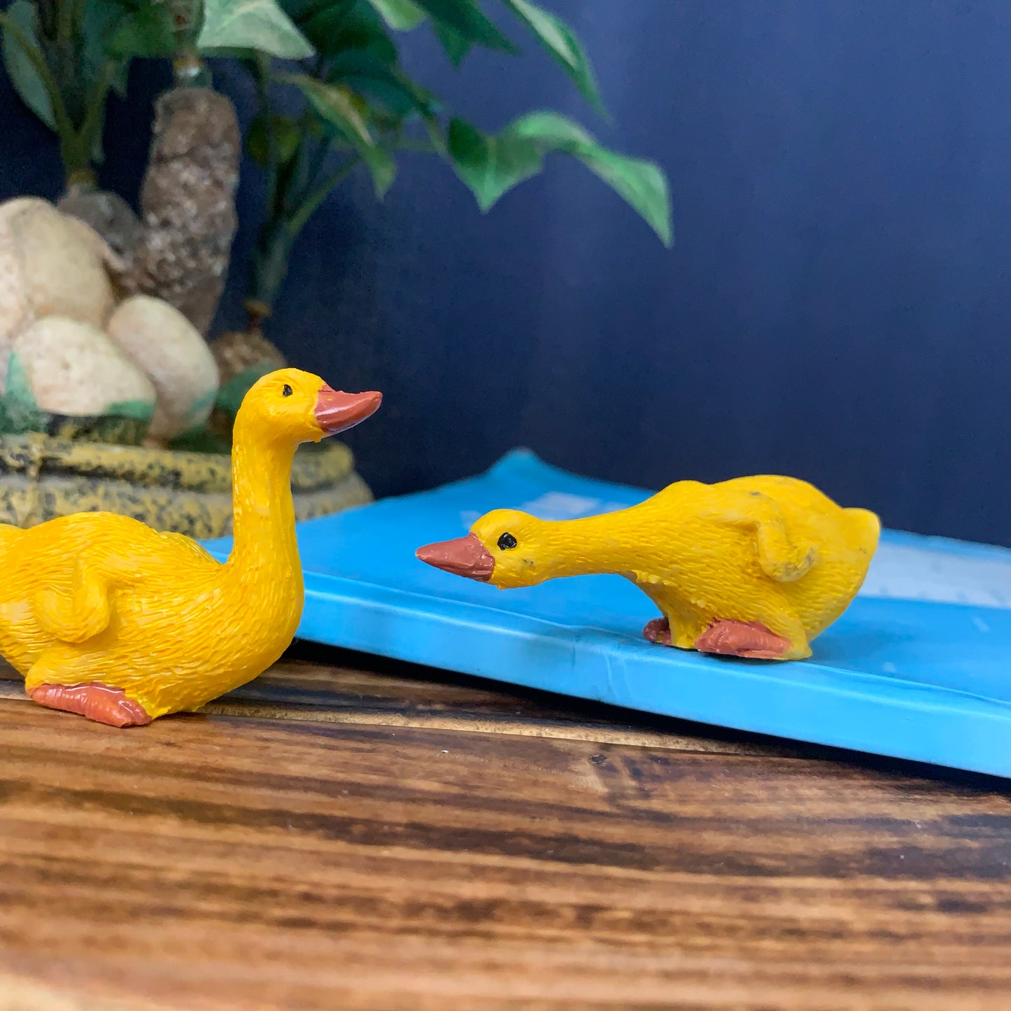 Pair of Yellow Ducks - M42-c