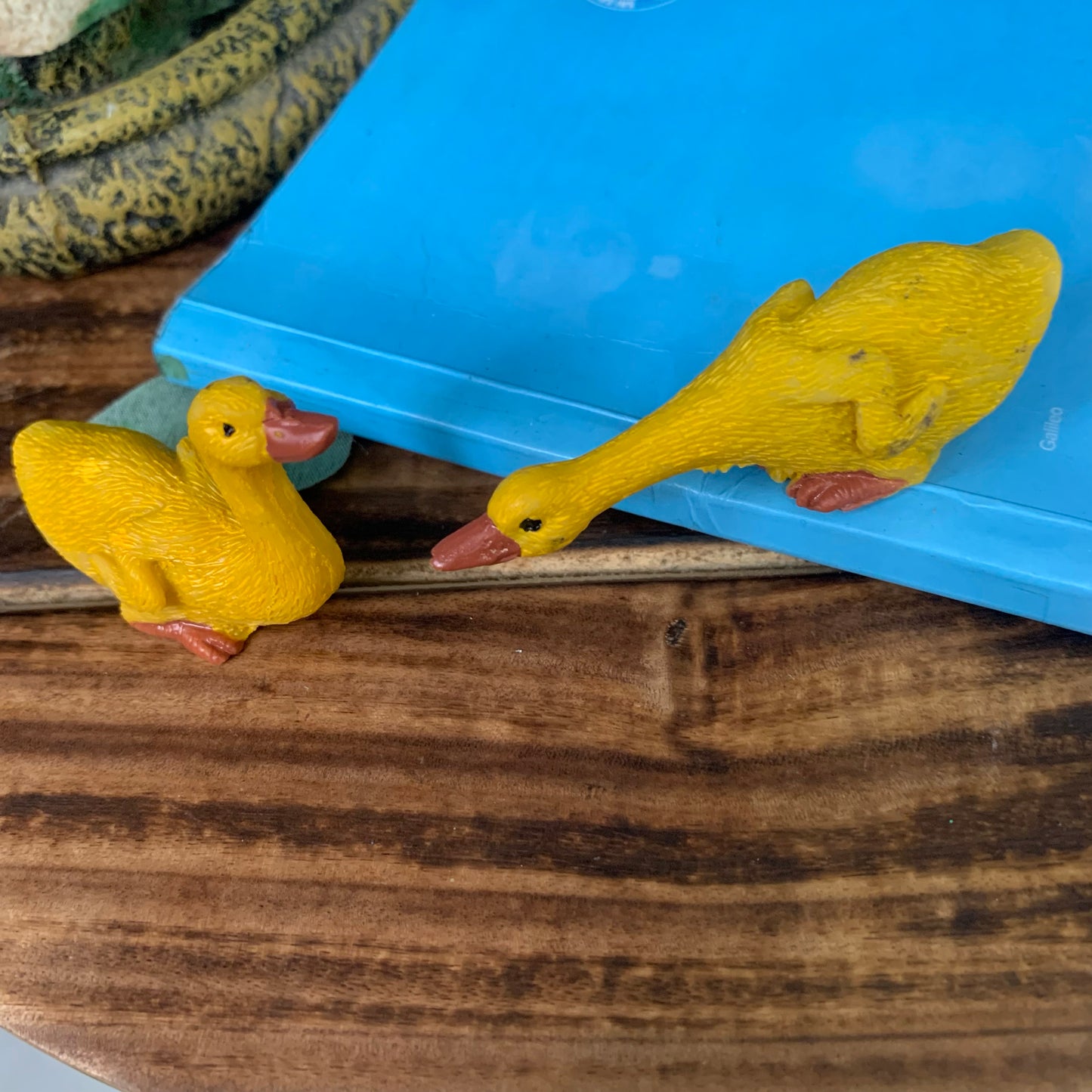 Pair of Yellow Ducks - M42-c