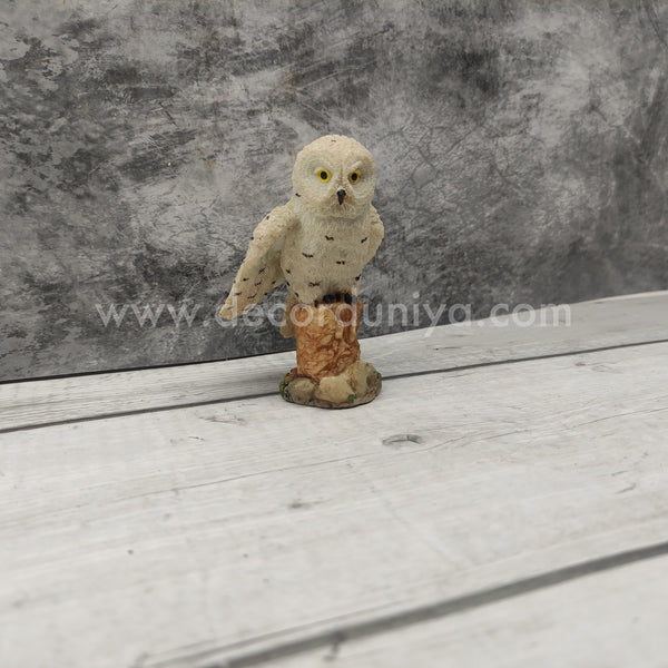 Owl - OWP01