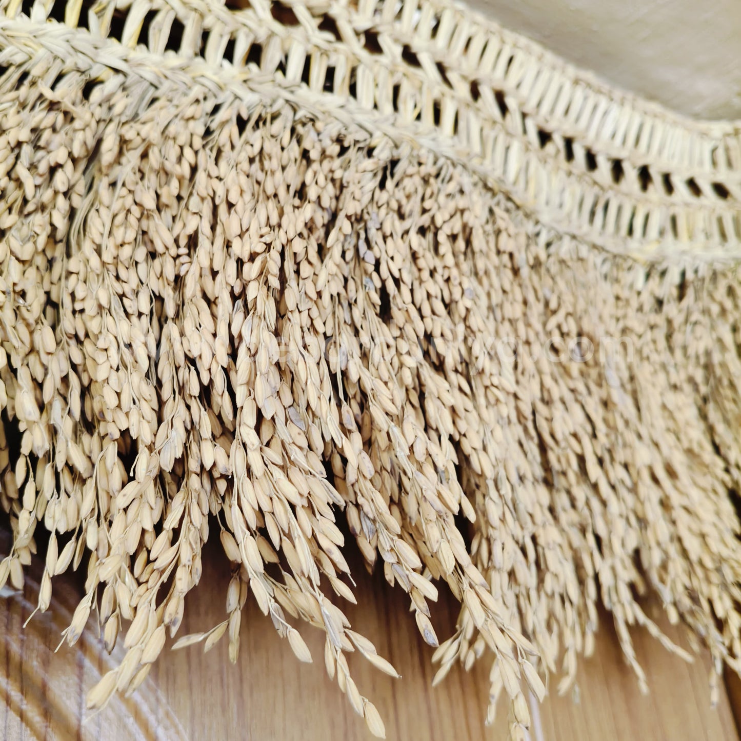 Nel Thoranam | Paddy Thoranam - PT2