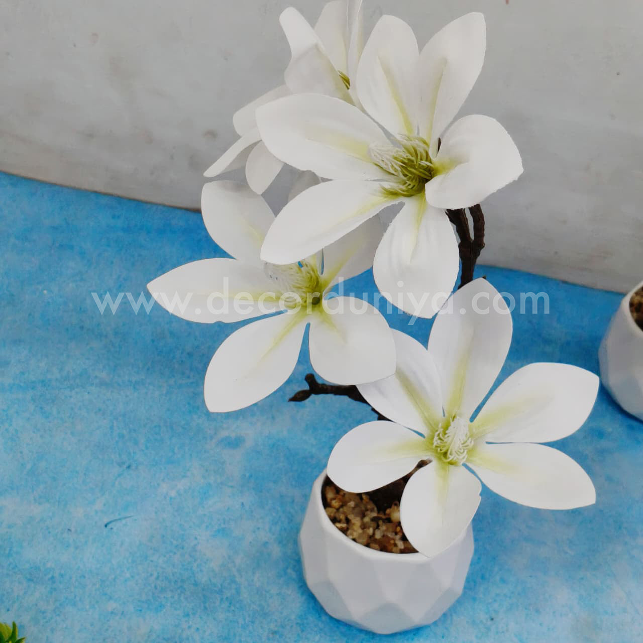Plants with Flower-FLW13