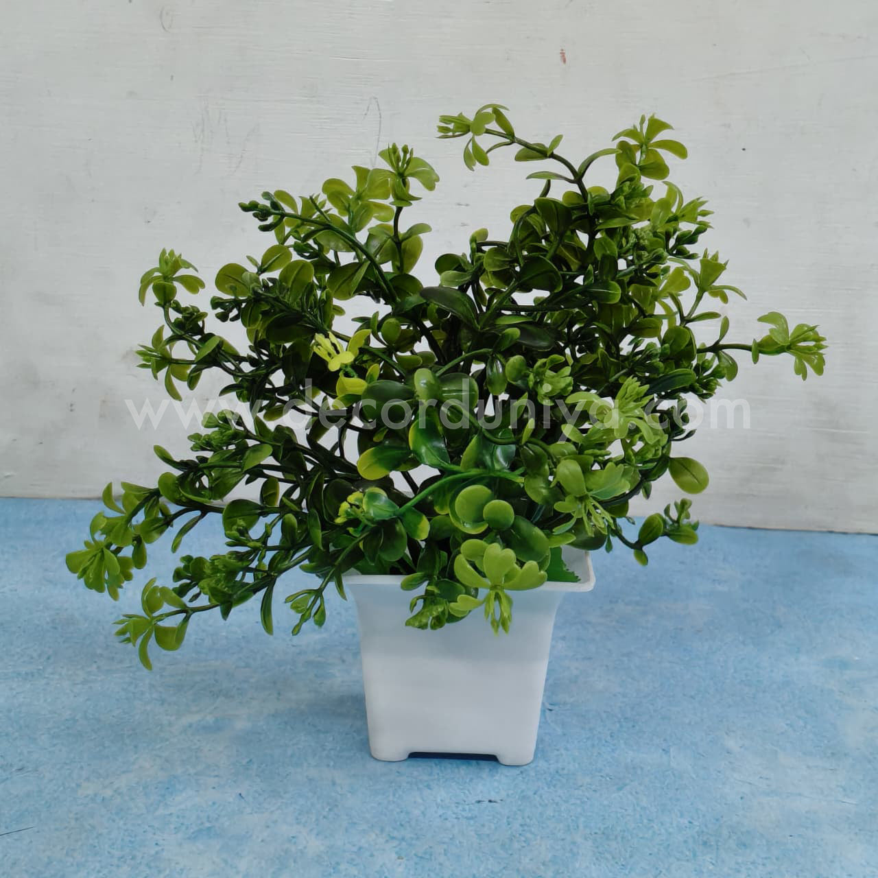 Plants with Flower-FLW41