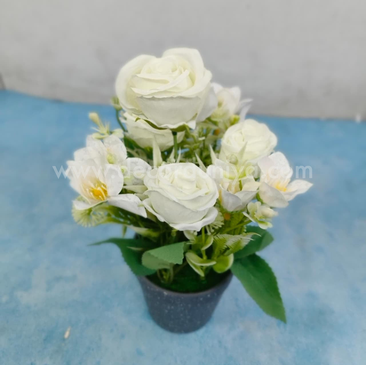 Plants with Flower-BON2