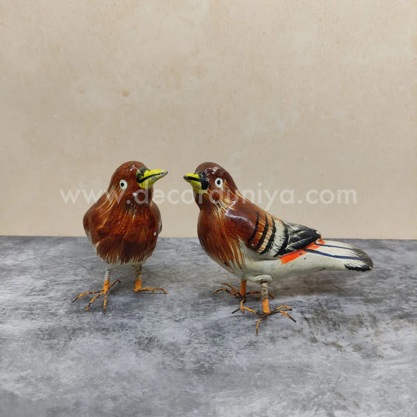 Birds - PR26-C