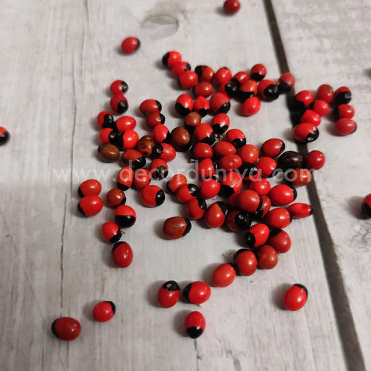 Kundumani | Red Gaungchi Seeds | Pillayarkan Seeds - PS1