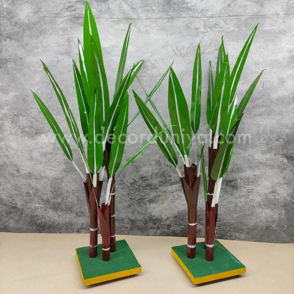 Sugarcane Pair - SC1