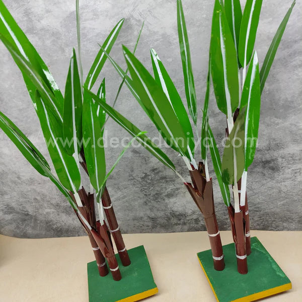 Sugarcane Pair - SC1