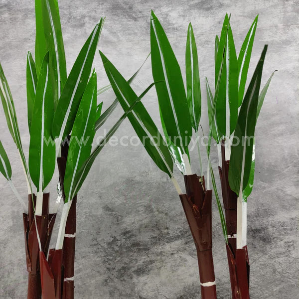 Sugarcane Pair - SC1