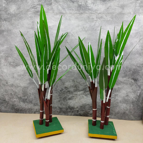 Sugarcane Pair - SC1