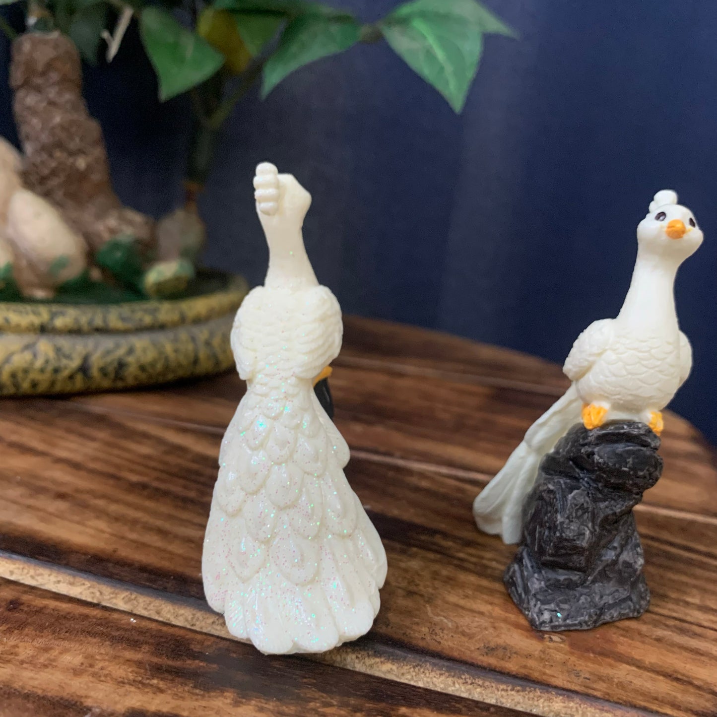 White Peacock on stone - PB04-c
