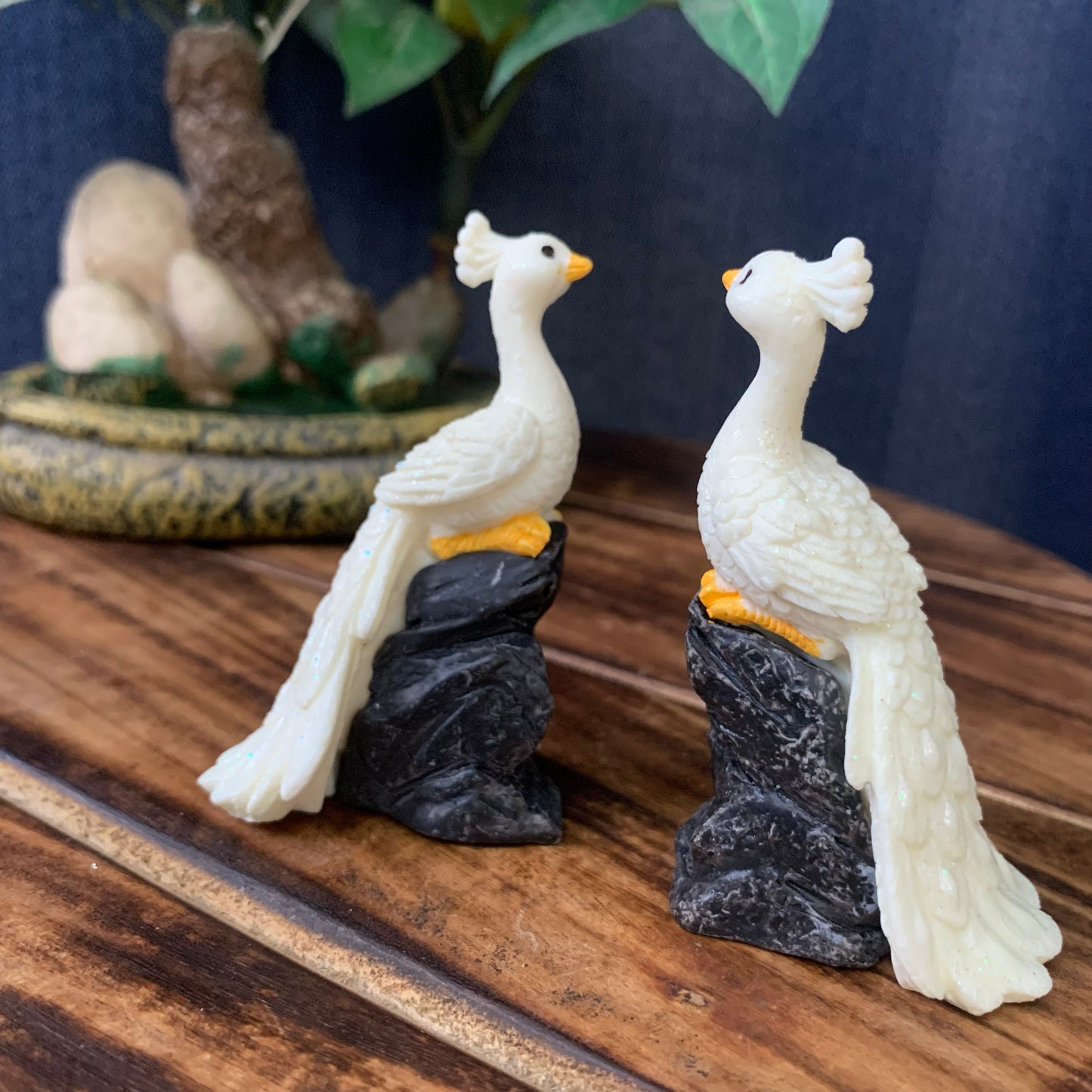 White Peacock on stone - PB04-c