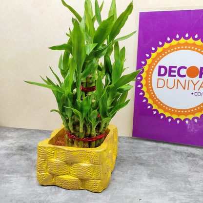 Terracotta Planter with 3 layer Bamboo- TPB1