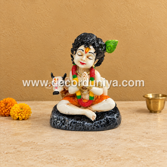 Baby Krishna - BKI12-PR