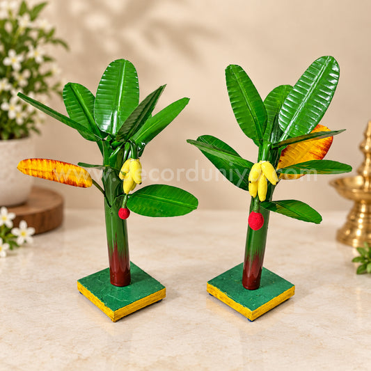 Plantain Tree, Banana Tree - Pair - BT01