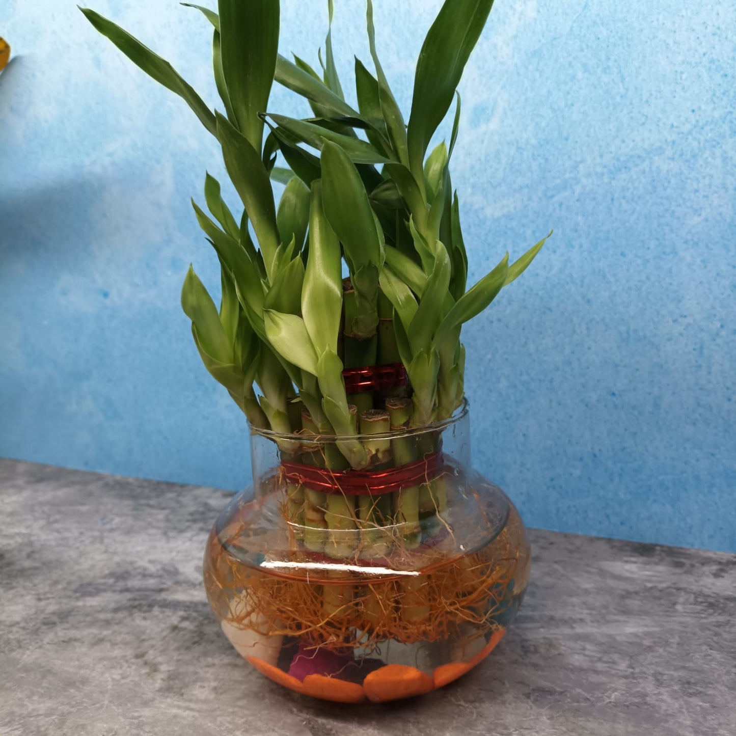 Bamboo with Glass Bowl and Pebbles - LB2