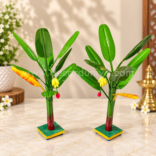 Plantain Tree, Banana Tree - Pair - BT03