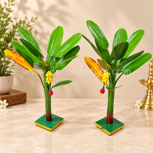 Plantain Tree, Banana Tree - Pair - BT04