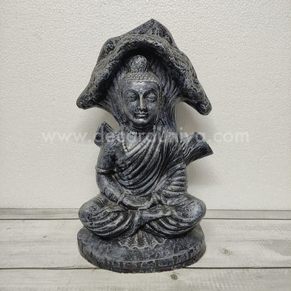Buddha - BB2
