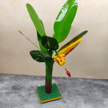 Plantain Tree, Banana Tree - Pair - BT01