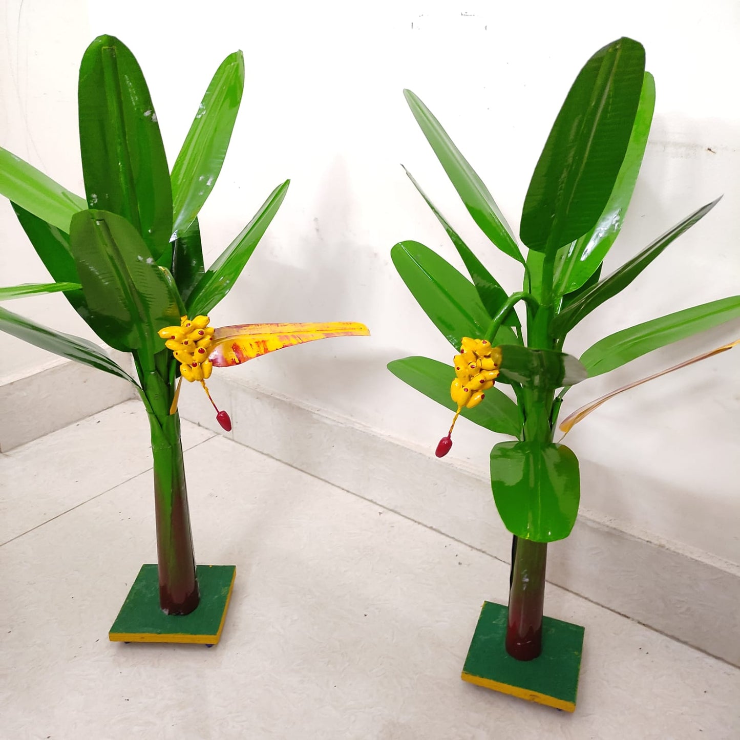 Plantain Tree, Banana Tree - Pair - BT04