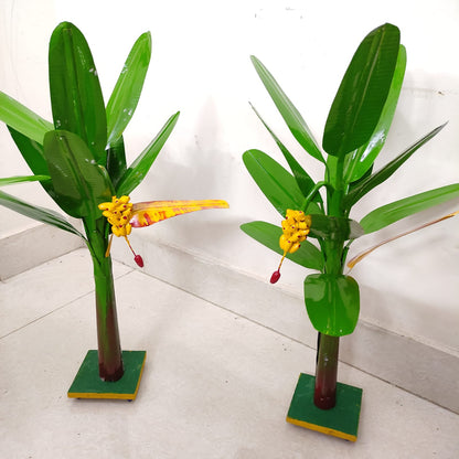 Plantain Tree, Banana Tree - Pair - BT04