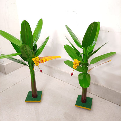 Plantain Tree, Banana Tree - Pair - BT04