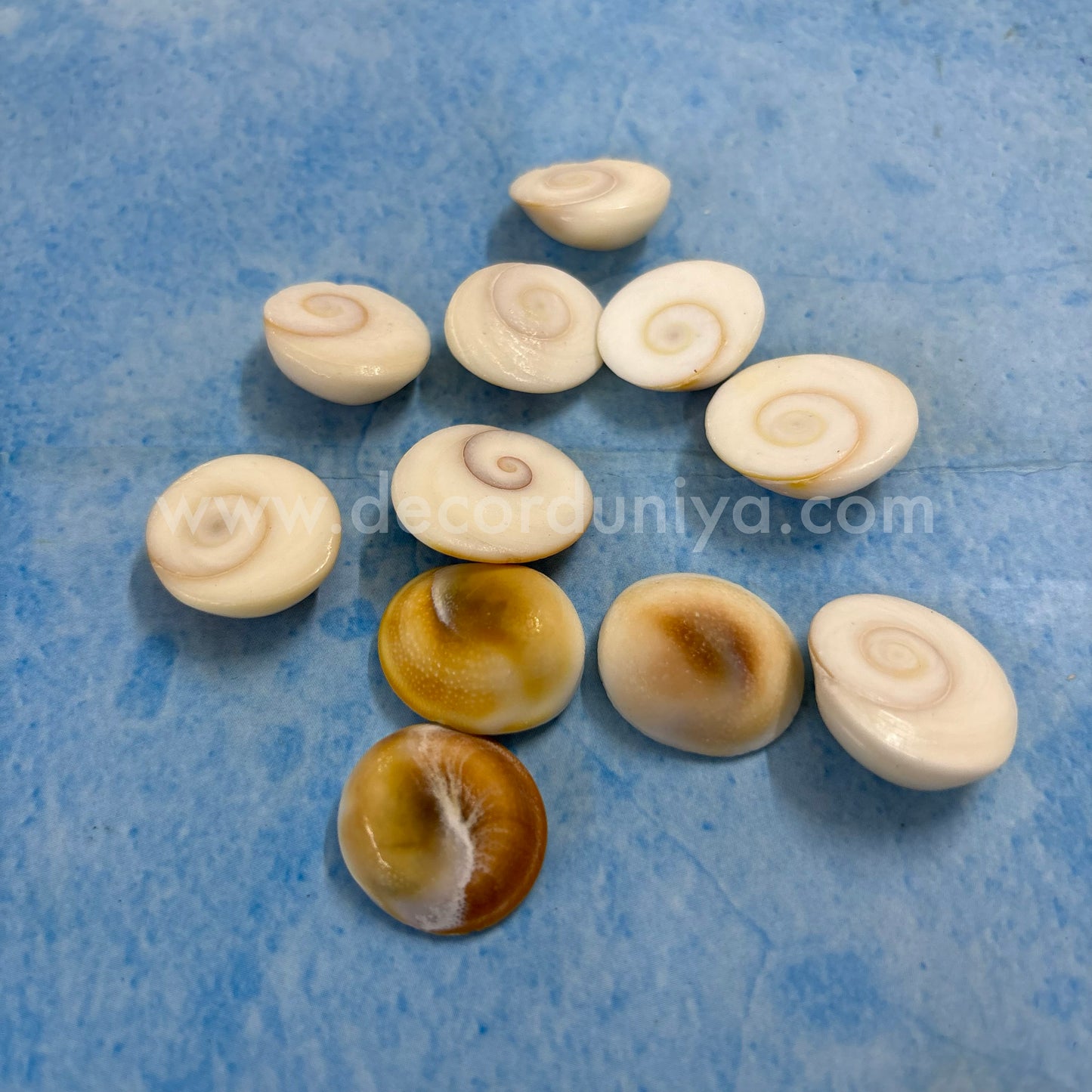 Gomathi Chakram - GC-1