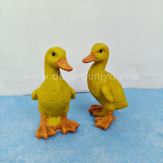 Duck Pair - DS37