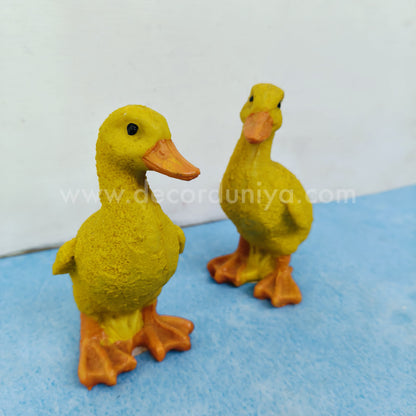 Duck Pair - DS37