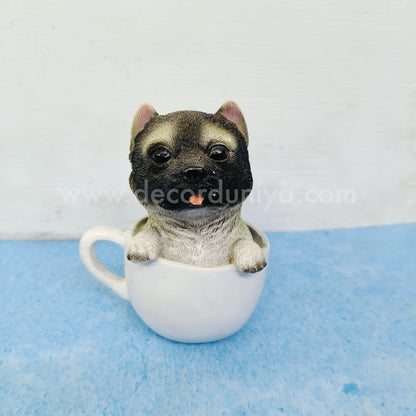 Dog - DC29