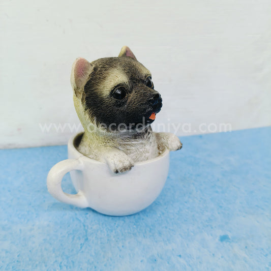 Dog - DC29