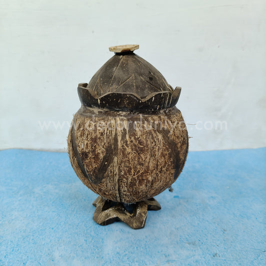 Coconut Shell - CC0010