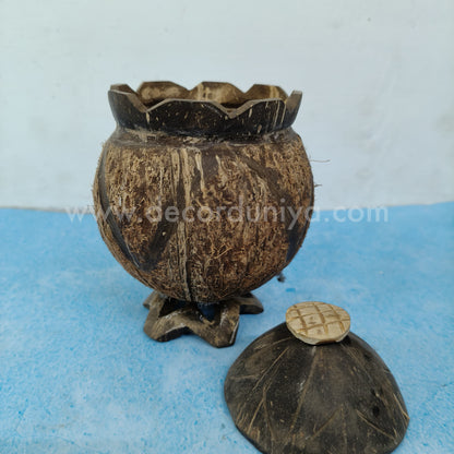Coconut Shell - CC0010