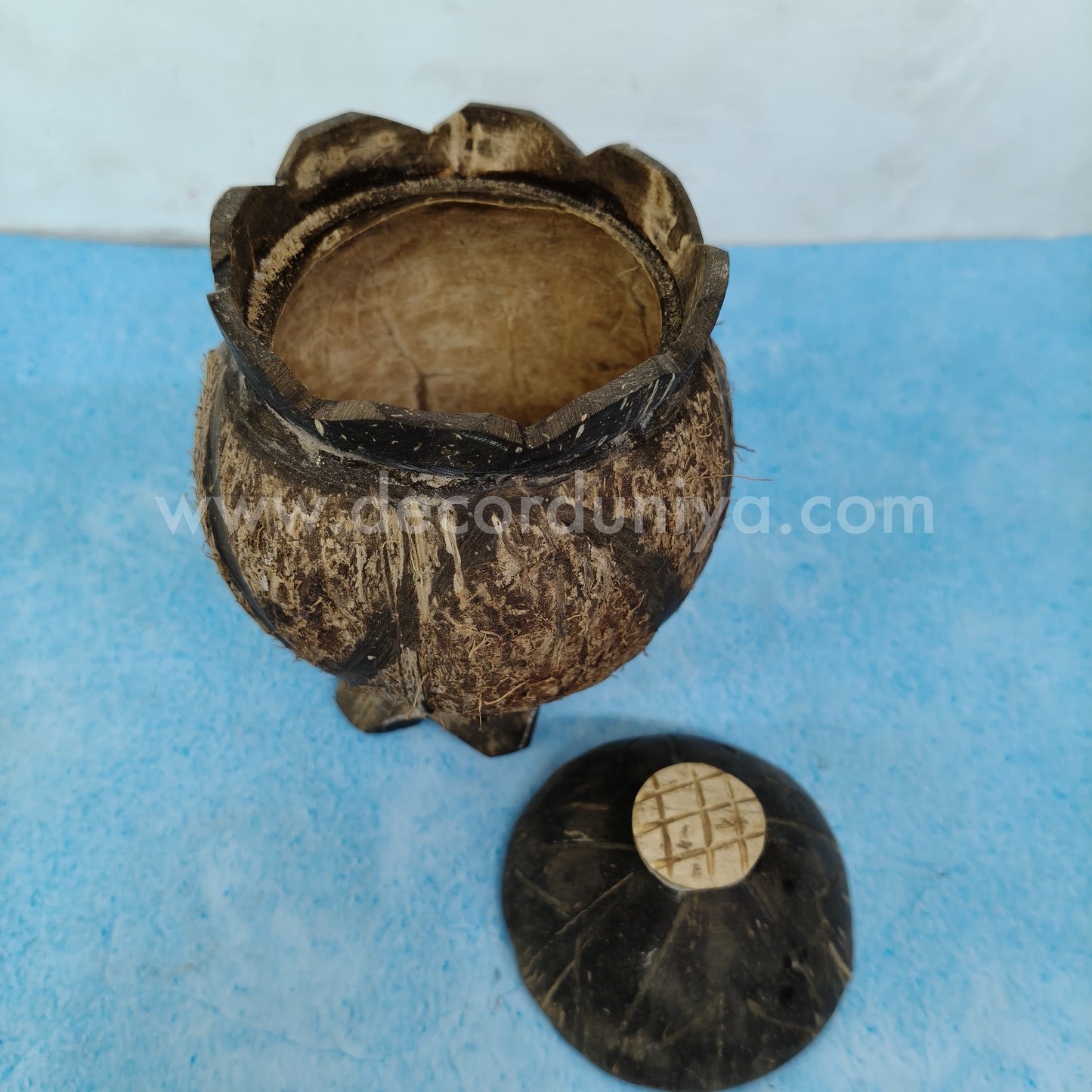 Coconut Shell - CC0010