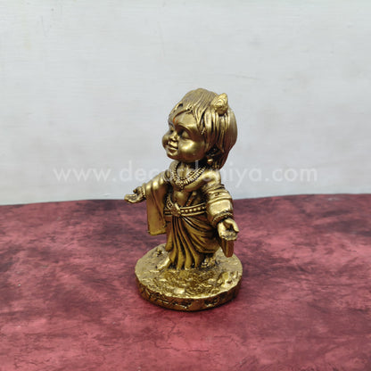 Krishna - CN13