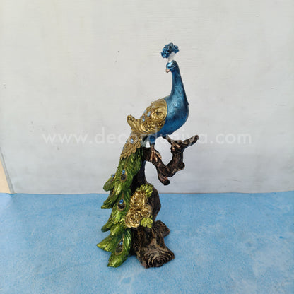 Peacock - GN2