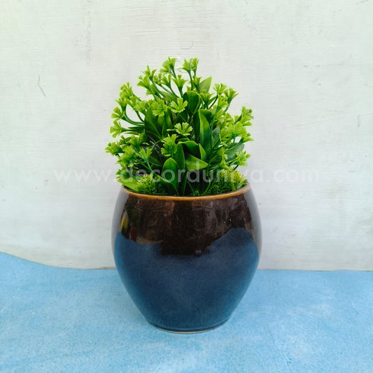 Pot with Plants - DD1214